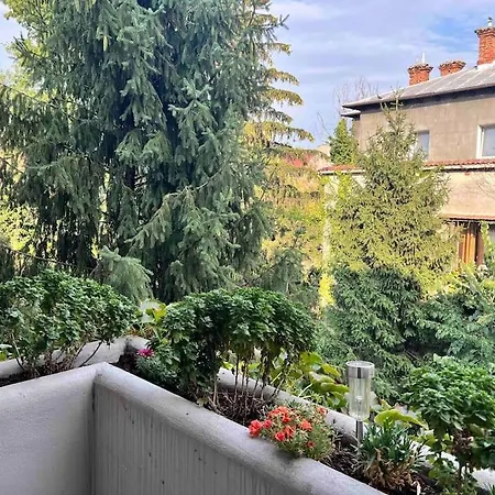 Studio Villa Floreasca-2